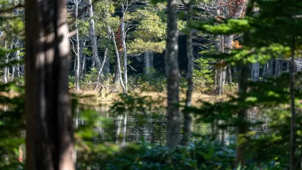 Ghost of Yotei Chooses Hokkaido for Its Striking Balance of Danger and Beauty