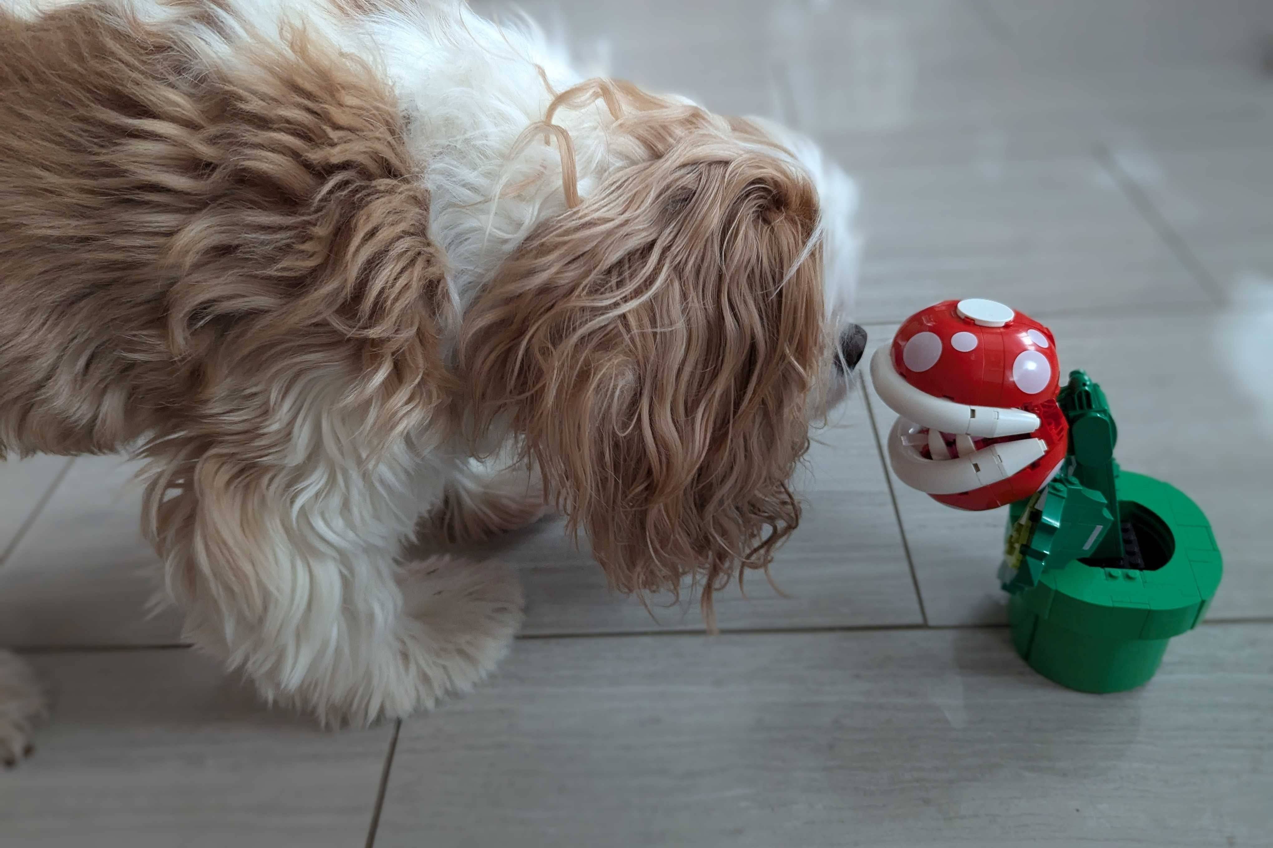 Completed LEGO Piranha Plant display