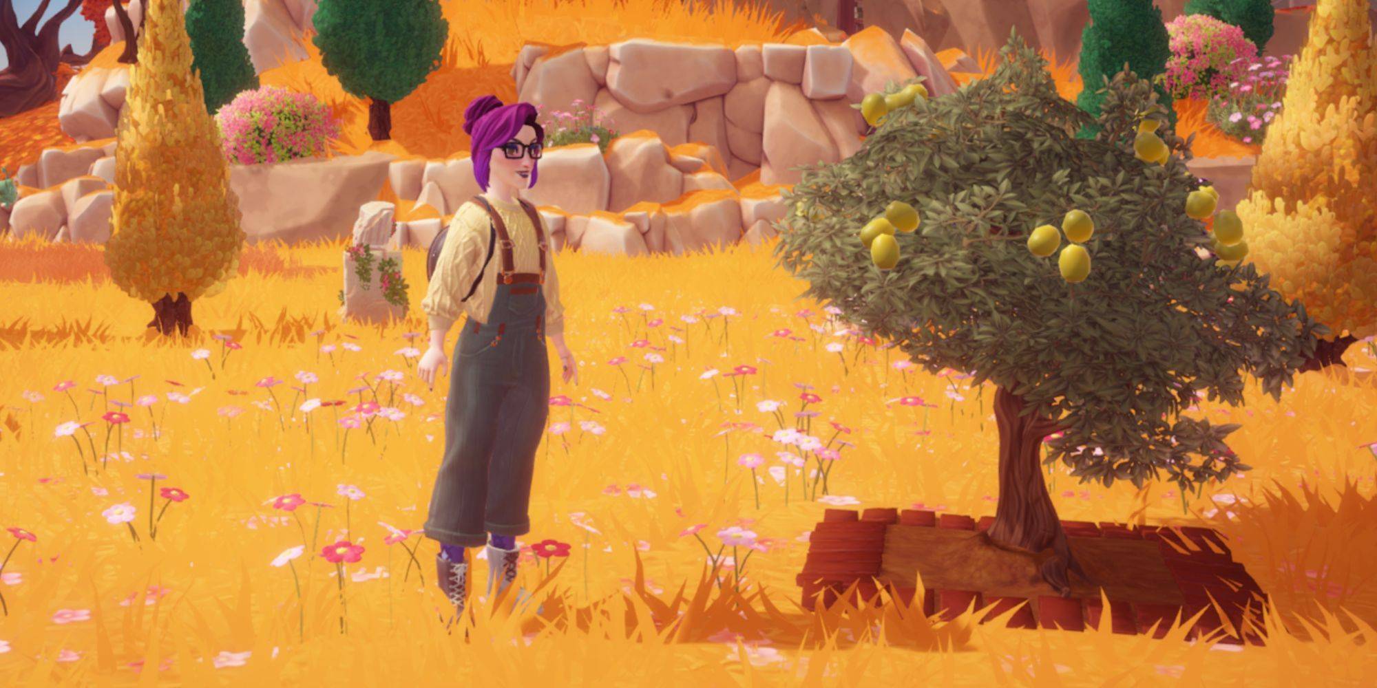 Olive Location