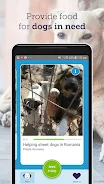 feed a dog: animal welfare स्क्रीनशॉट 2