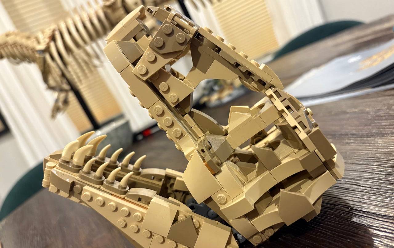 Lego Dinosaur ကျောက်ဖြစ်ရုပ်ကြွင်းများ - Tyrannosaurus Rex Display