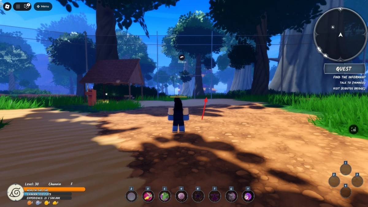 Posizione dell'organizzazione della foresta morta in Ninja Time Roblox Experience