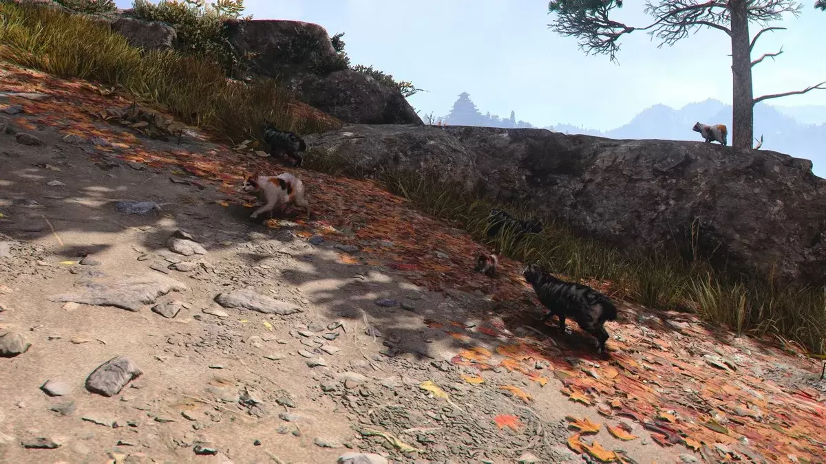 Cat Island Assassin's Creed Shadows