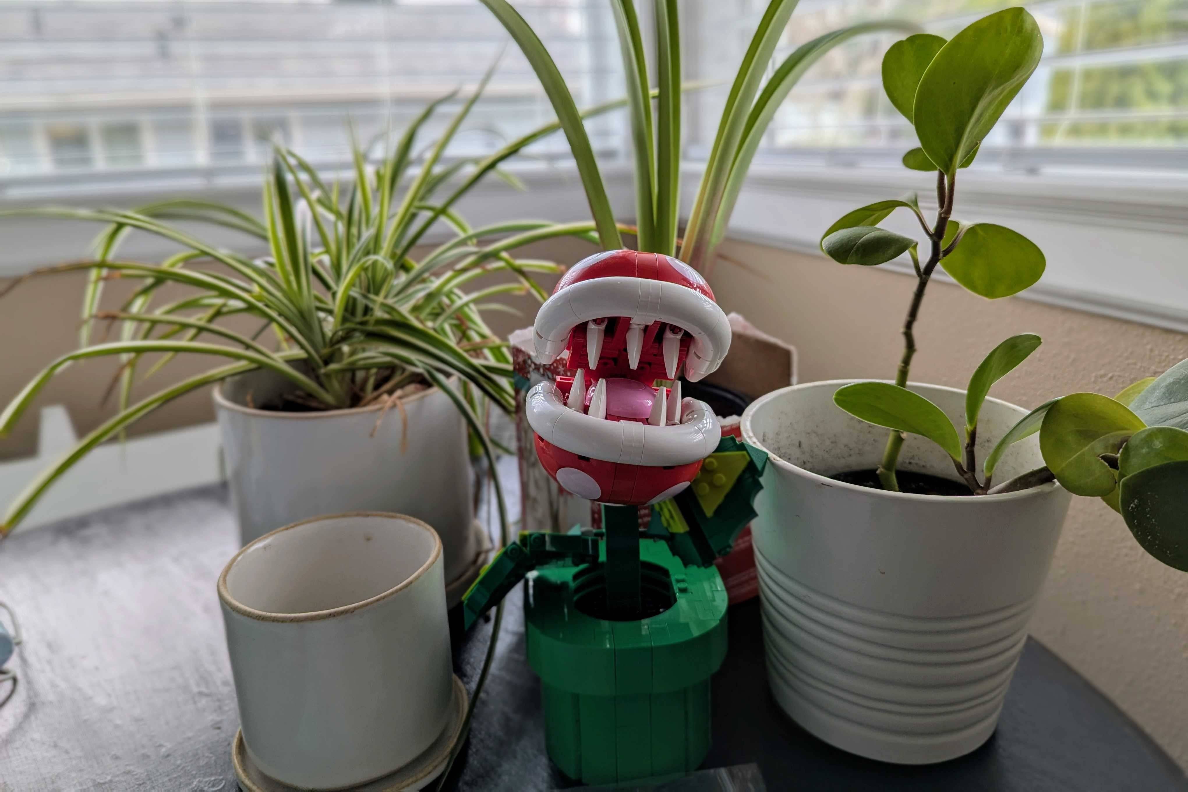 Building process of LEGO set