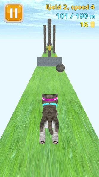 Schermata Cat Run Mod 0