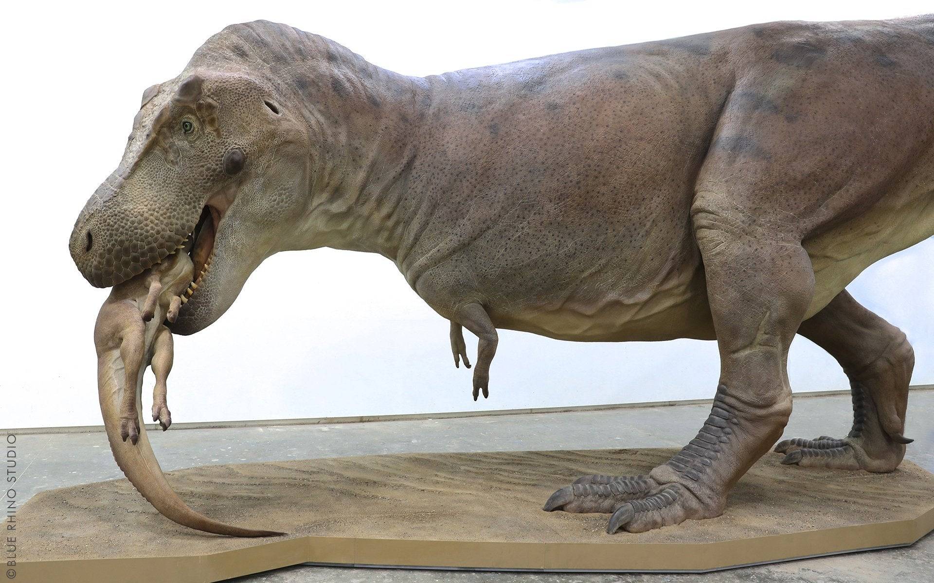 တိကျသော t-rex မော်ဒယ်